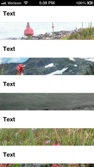 alt text